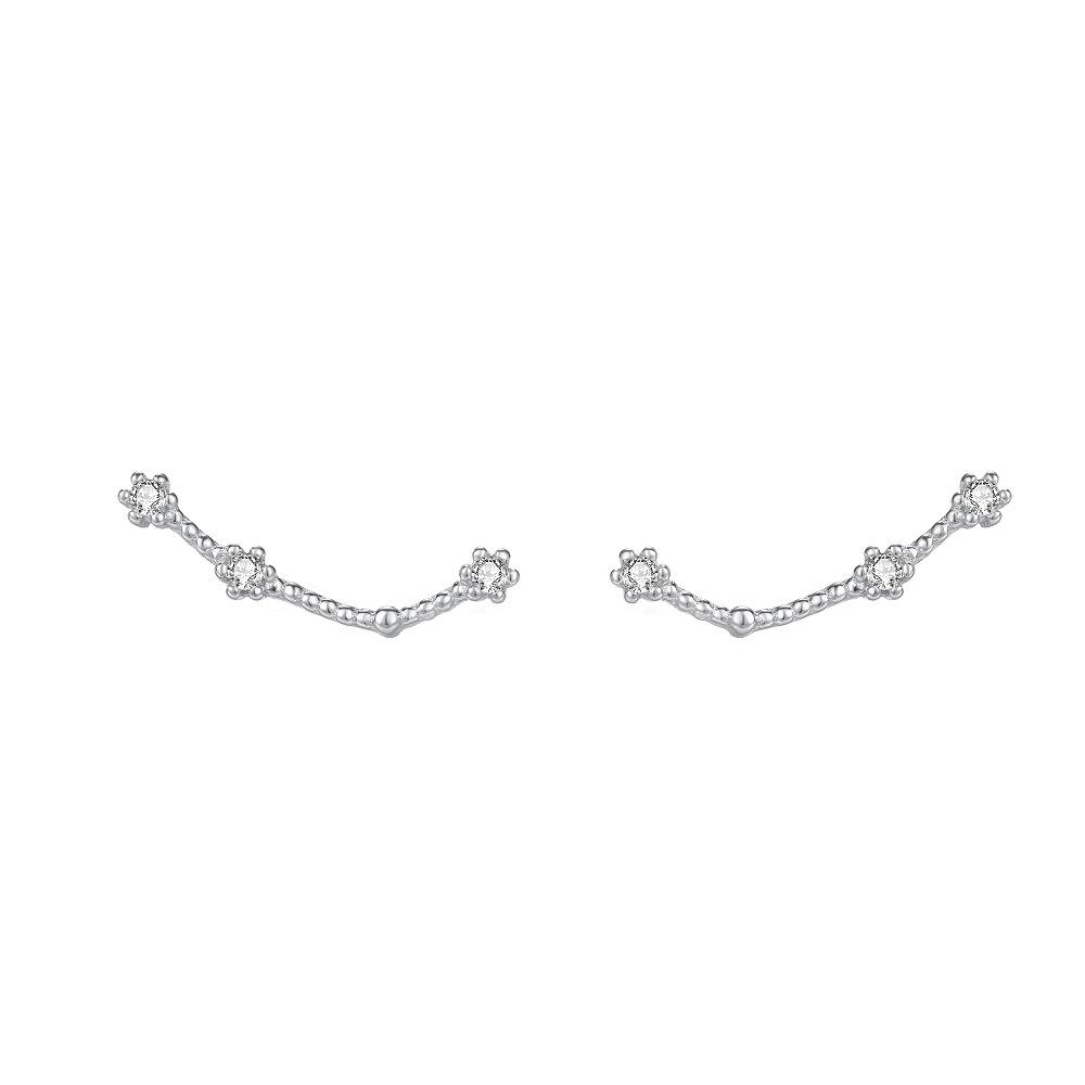 S925 Sterling Silver Constellation Ear Pins - Shiny Zircon 12 Star Sign Stud Earrings for Women Astrology Jewelry Gift
S925 Sterling Silver Constellation Ear Pins - Shiny Zircon 12 Star Sign Stud Earrings for Women Astrology Jewelry Gift