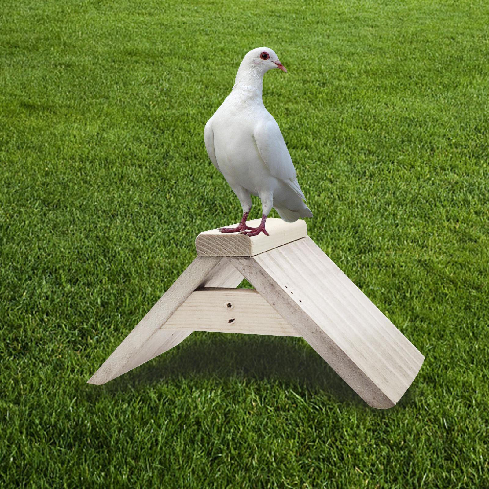 Dove Rest Stand Cage Accessories Breeding Supplies Shelf Pigeon Perch Bird Standing Rack for Parrots
Dove Rest Stand Cage Accessories Breeding Supplies Shelf Pigeon Perch Bird Standing Rack for Parrots