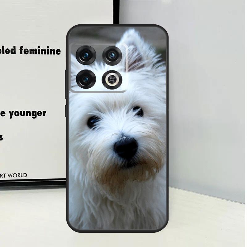 Westie Dog For OnePlus Nord 5 CE 2 3 4 Lite N20 N30 Case For OnePlus 15 13 12 11 10 Pro 10T 13T 13R 15R OnePlus Nord 2
Westie Dog For OnePlus Nord 5 CE 2 3 4 Lite N20 N30 Case For OnePlus 15 13 12 11 10 Pro 10T 13T 13R 15R OnePlus Nord 2