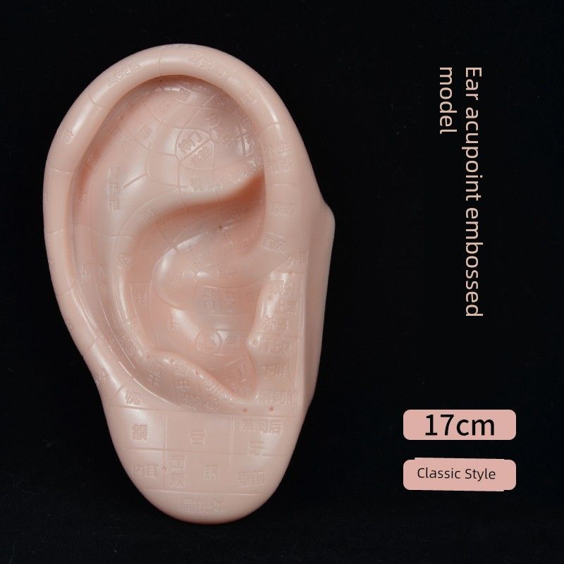 Zone Model, Traditional Chinese Medicine Teaching Aids, High-Definition Engraved Vinyl, Colorless Foot Therapy Large-Letter Diagram, Foot Massage 17cm Ear Mold(Colorless)
Zone Model, Traditional Chinese Medicine Teaching Aids, High-Definition Engraved Vinyl, Colorless Foot Therapy Large-Letter Diagram, Foot Massage 17cm Ear Mold(Colorless)
