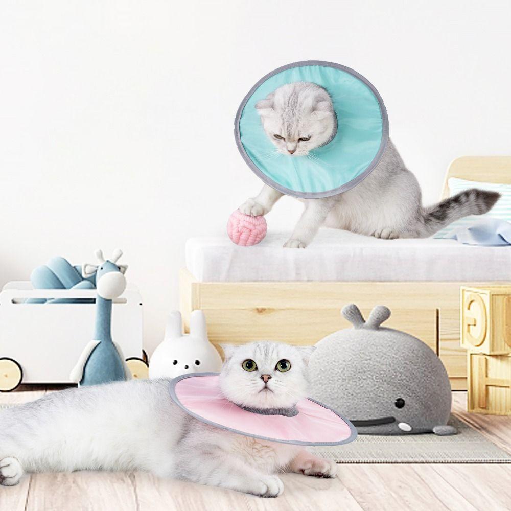 Adjustable Anti-Bite Pet Collar Cat Recovery Collar Cat Protective Collar Cat Elizabethan Collar
Adjustable Anti-Bite Pet Collar Cat Recovery Collar Cat Protective Collar Cat Elizabethan Collar