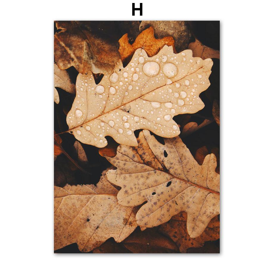 Осенняя тыква, деревня, листья, дорога, абстрактная линия, настенная живопись на холсте, постеры на скандинавскую тему и принты, настенные панно для гостиной A4 21X30cm No Framed
Осенняя тыква, деревня, листья, дорога, абстрактная линия, настенная живопись на холсте, постеры на скандинавскую тему и принты, настенные панно для гостиной A4 21X30cm No Framed