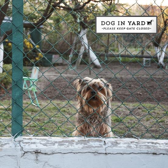 Yousheng Dog in Yard Sign Pet Family Yard Sign Wall Decor Wooden Keep Gate Closed Sign for Garden Yard Dog Owners Housewarming Gift чёрный
Yousheng Dog in Yard Sign Pet Family Yard Sign Wall Decor Wooden Keep Gate Closed Sign for Garden Yard Dog Owners Housewarming Gift чёрный