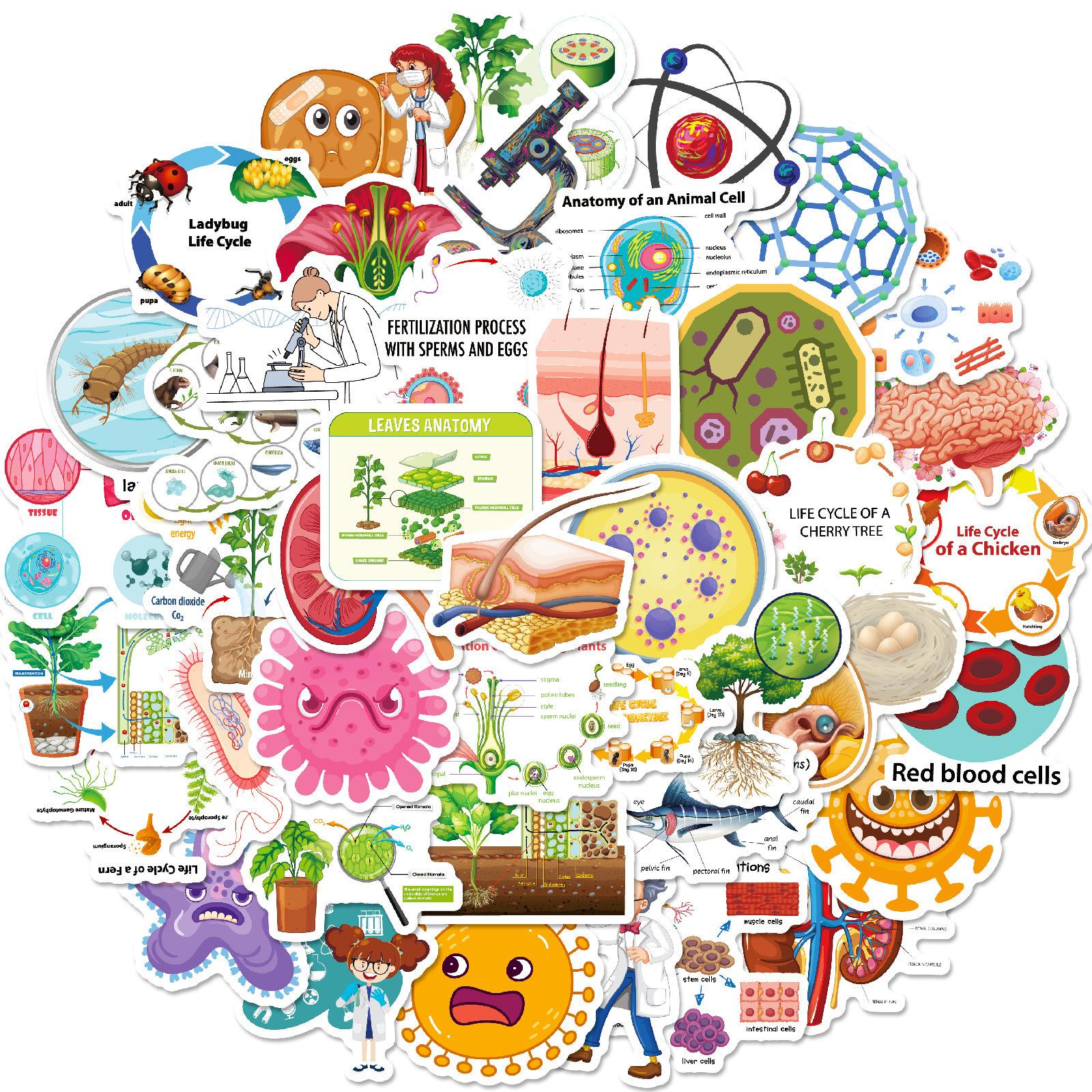 50 Cartoon Bio Stickers Cute Biology Class Children s Stationery Notebook Water Cup DIY Waterproof Stickers
50 Cartoon Bio Stickers Cute Biology Class Children s Stationery Notebook Water Cup DIY Waterproof Stickers