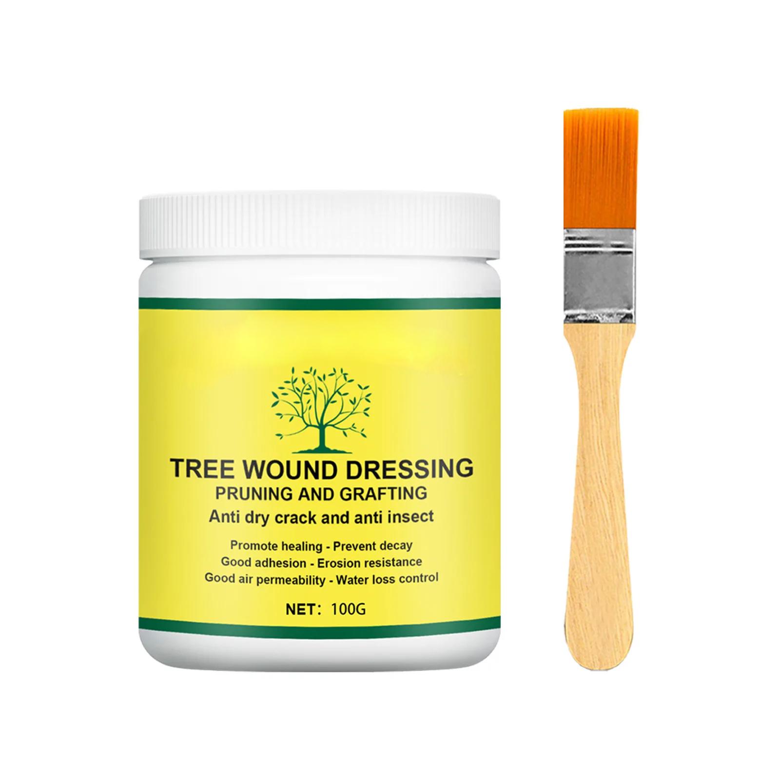 Tree Wound Healing Paste Pruning Compound Sealer for Bonsai Flower Grafting Incision Recovery Smear Cut Agent 100g/200g
Tree Wound Healing Paste Pruning Compound Sealer for Bonsai Flower Grafting Incision Recovery Smear Cut Agent 100g/200g