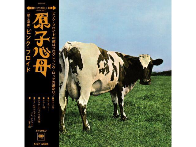 Компакт-диск Pink Floyd Atom Heart Mother в бумажном конверте SICP-5406, ограниченное издание, ремастер
Компакт-диск Pink Floyd Atom Heart Mother в бумажном конверте SICP-5406, ограниченное издание, ремастер