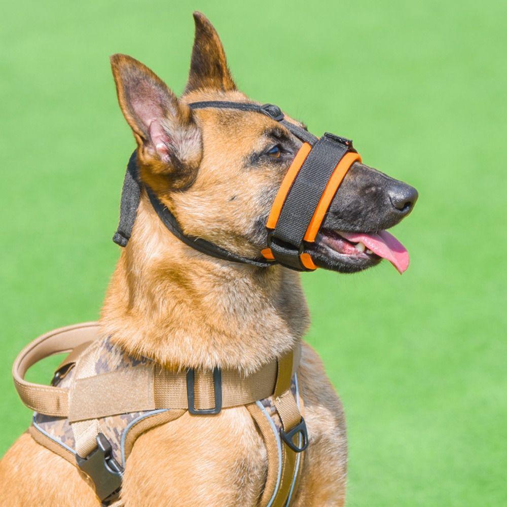 For Small Large Dogs Golden Retriever Pet Mouth Cover Mouth Mask Dog Prevention Supplies Dog Muzzle
For Small Large Dogs Golden Retriever Pet Mouth Cover Mouth Mask Dog Prevention Supplies Dog Muzzle
