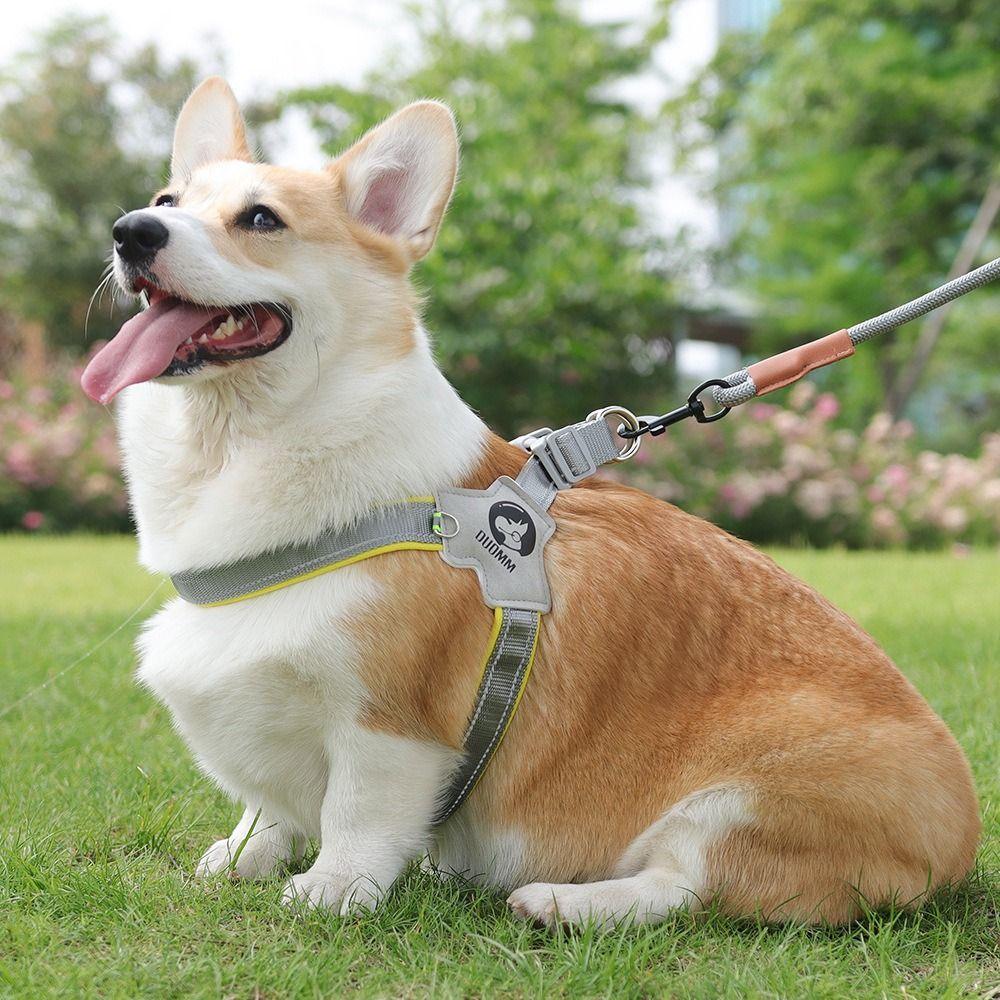 Adjustable Pet Harness Vest Polyester Dog Traction Rope Pet Accessories Puppy Chest Strap Training
Adjustable Pet Harness Vest Polyester Dog Traction Rope Pet Accessories Puppy Chest Strap Training