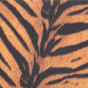 CD HIGHLOWS Tigermobile KTCR1420 Kitty Records 1996 Japan Rock Used
CD HIGHLOWS Tigermobile KTCR1420 Kitty Records 1996 Japan Rock Used