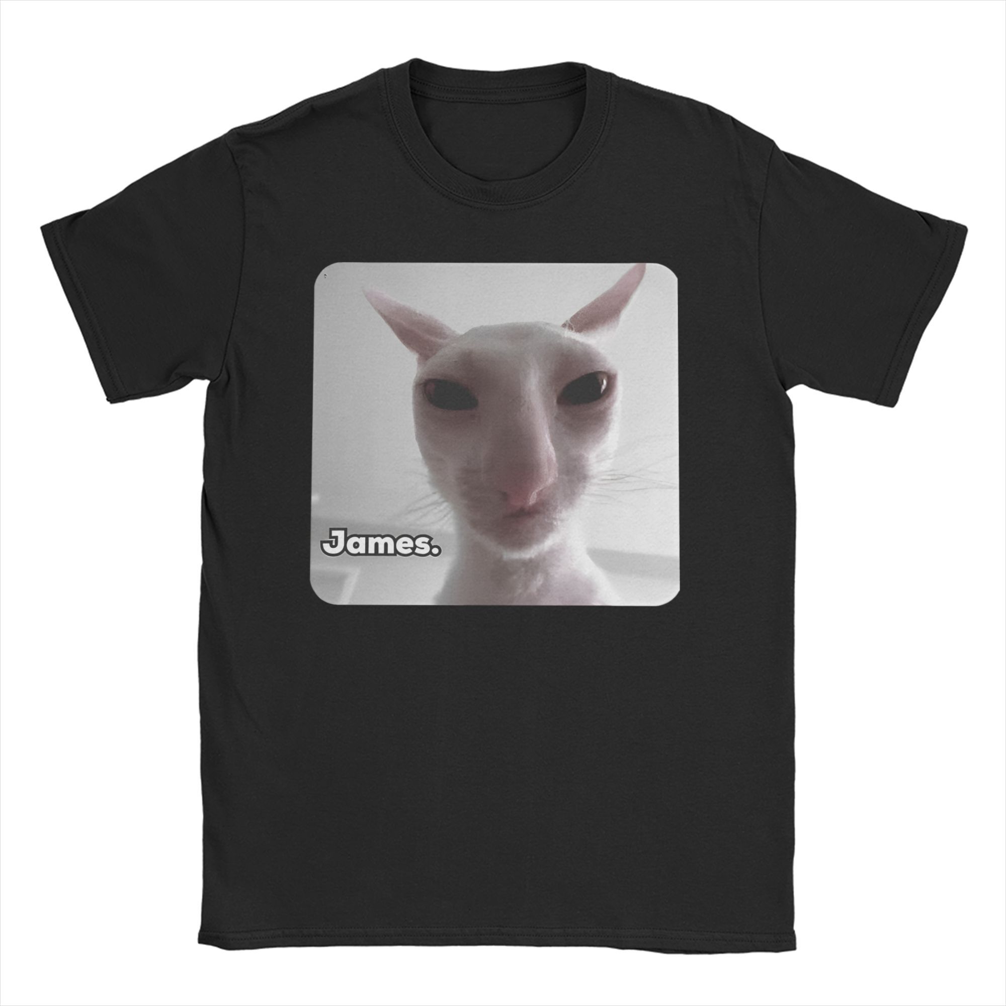 Funny James Cat Meme Pure Cotton T-Shirt For Man Summer Cute Classic T Shirts Round Neck Harajuku Tee Shirt Oversized Loose 5XL різнокольоровий
Funny James Cat Meme Pure Cotton T-Shirt For Man Summer Cute Classic T Shirts Round Neck Harajuku Tee Shirt Oversized Loose 5XL різнокольоровий