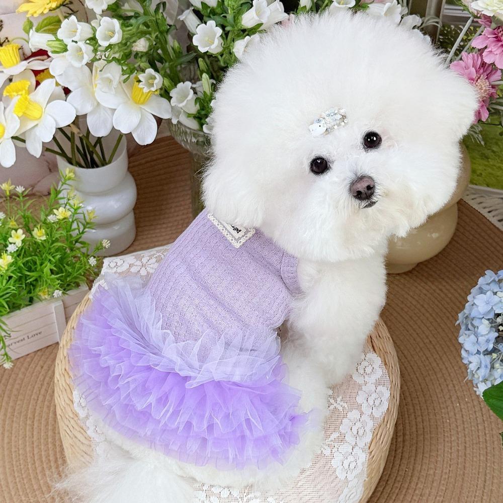 Thin Design Dog Summer Dress Lace Cat Dress Fashion Pet Costumes Pet Product XL фіолетовий
Thin Design Dog Summer Dress Lace Cat Dress Fashion Pet Costumes Pet Product XL фіолетовий