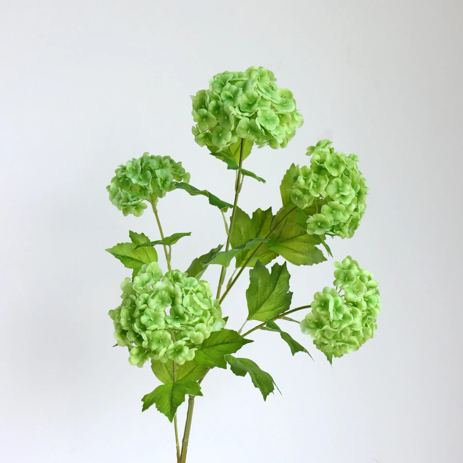 2Pcs High-end Realistic 5 Heads Snowball Flower Plastic Film Hydrangea Fake Flowers Wedding Flower Arrangement Home Decoration темно-зеленого
2Pcs High-end Realistic 5 Heads Snowball Flower Plastic Film Hydrangea Fake Flowers Wedding Flower Arrangement Home Decoration темно-зеленого