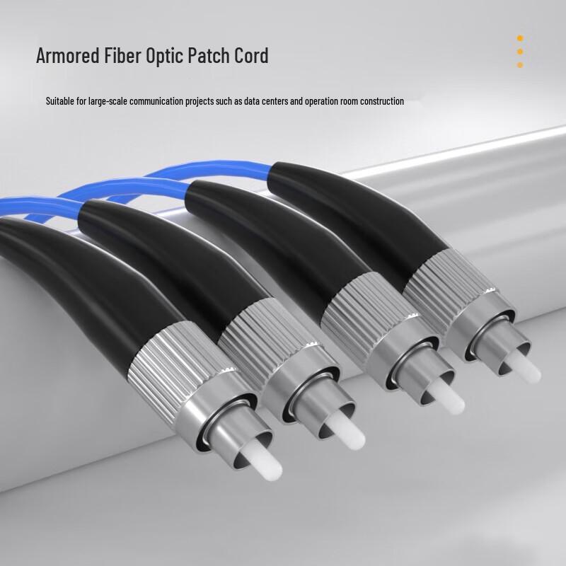 AIENKIS FC-FC Armored Single-Mode Duplex Fiber Optic Patch Cable
AIENKIS FC-FC Armored Single-Mode Duplex Fiber Optic Patch Cable