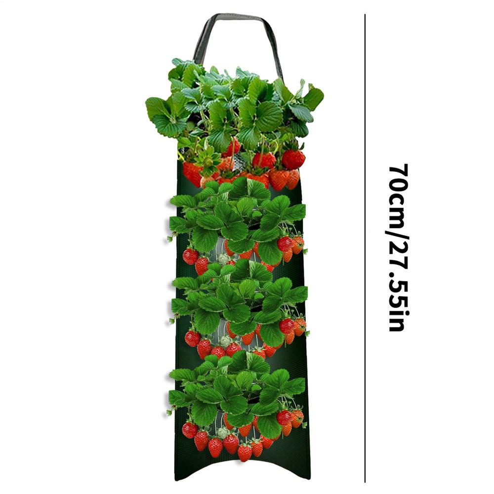 Tomato Planter Bag Floating Fabric Aeration Pouch With 8 Holes For Planting Gardening Bags For Tomatoes Roses Carrots Potatoes
Tomato Planter Bag Floating Fabric Aeration Pouch With 8 Holes For Planting Gardening Bags For Tomatoes Roses Carrots Potatoes