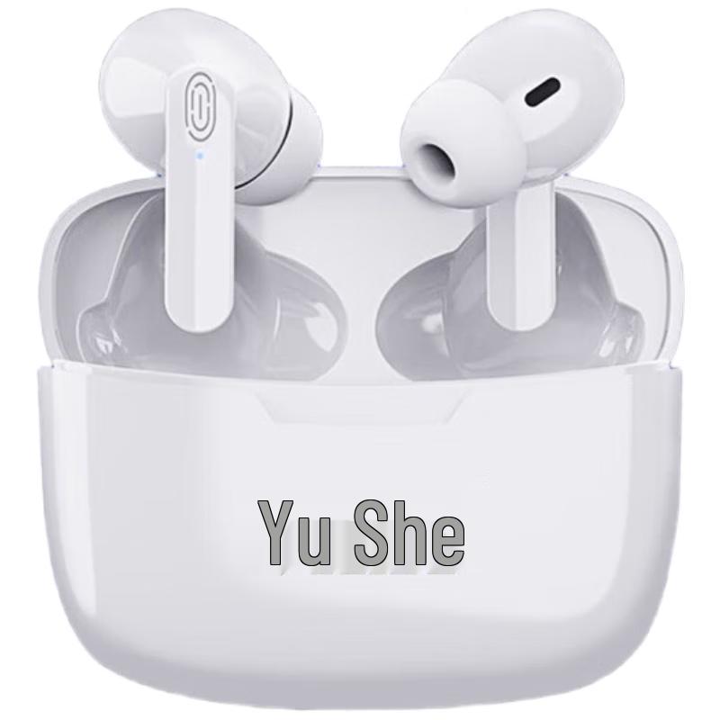 Leishe LS-FY113 Simultaneous Translation Earbuds
Leishe LS-FY113 Simultaneous Translation Earbuds