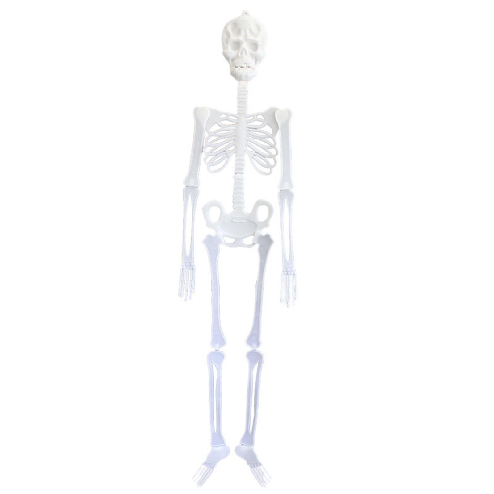 Luminous Skull Skeleton Body Scary Halloween Toy Haunted House Tricky Prop Halloween Party Decoration Props 30cm
Luminous Skull Skeleton Body Scary Halloween Toy Haunted House Tricky Prop Halloween Party Decoration Props 30cm