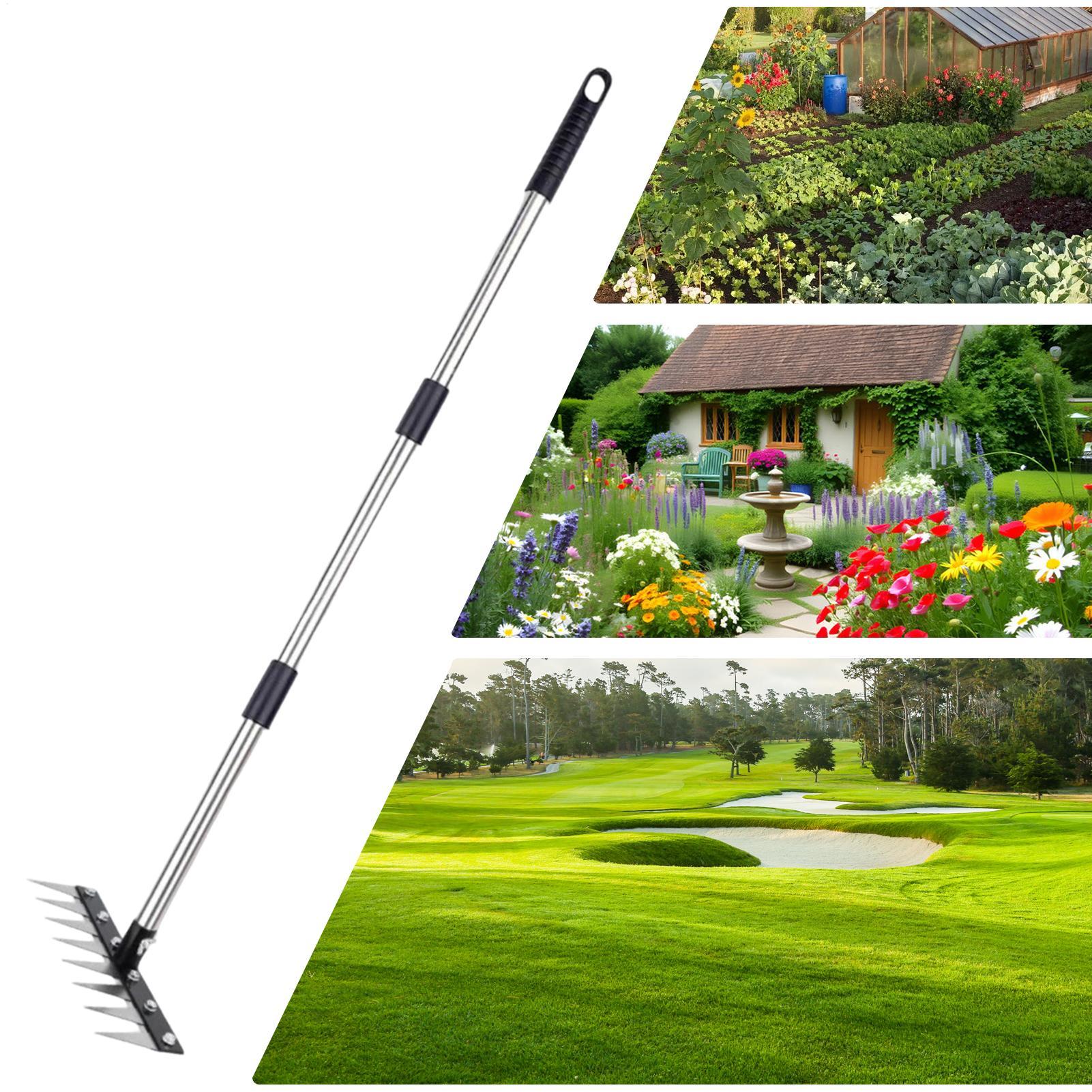 8-tooth Thatch Rake Heavy-duty Adjustable Length Weeding Dethatcher Stainless Steel Lawn Mower Outdoor Tilling Tool CN
8-tooth Thatch Rake Heavy-duty Adjustable Length Weeding Dethatcher Stainless Steel Lawn Mower Outdoor Tilling Tool CN