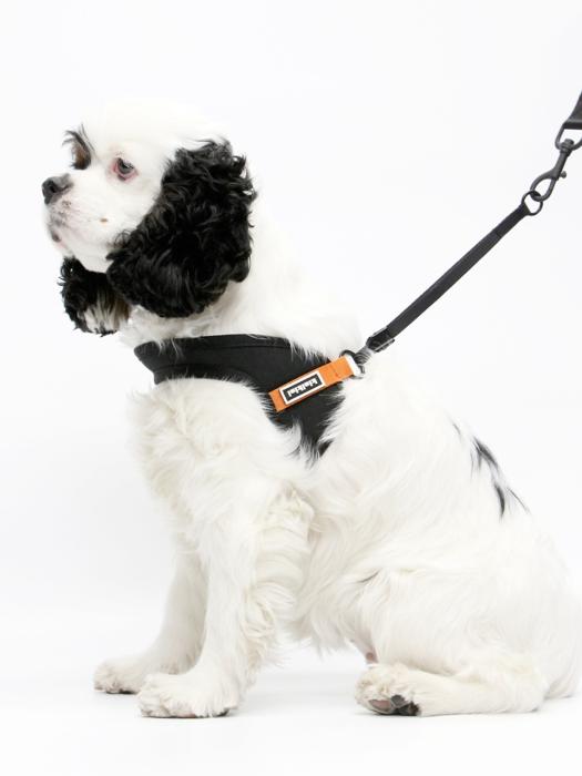 KINIKINI KINI SIGNATURE HARNESS-BLACK/ORANGE (Harness) L
KINIKINI KINI SIGNATURE HARNESS-BLACK/ORANGE (Harness) L