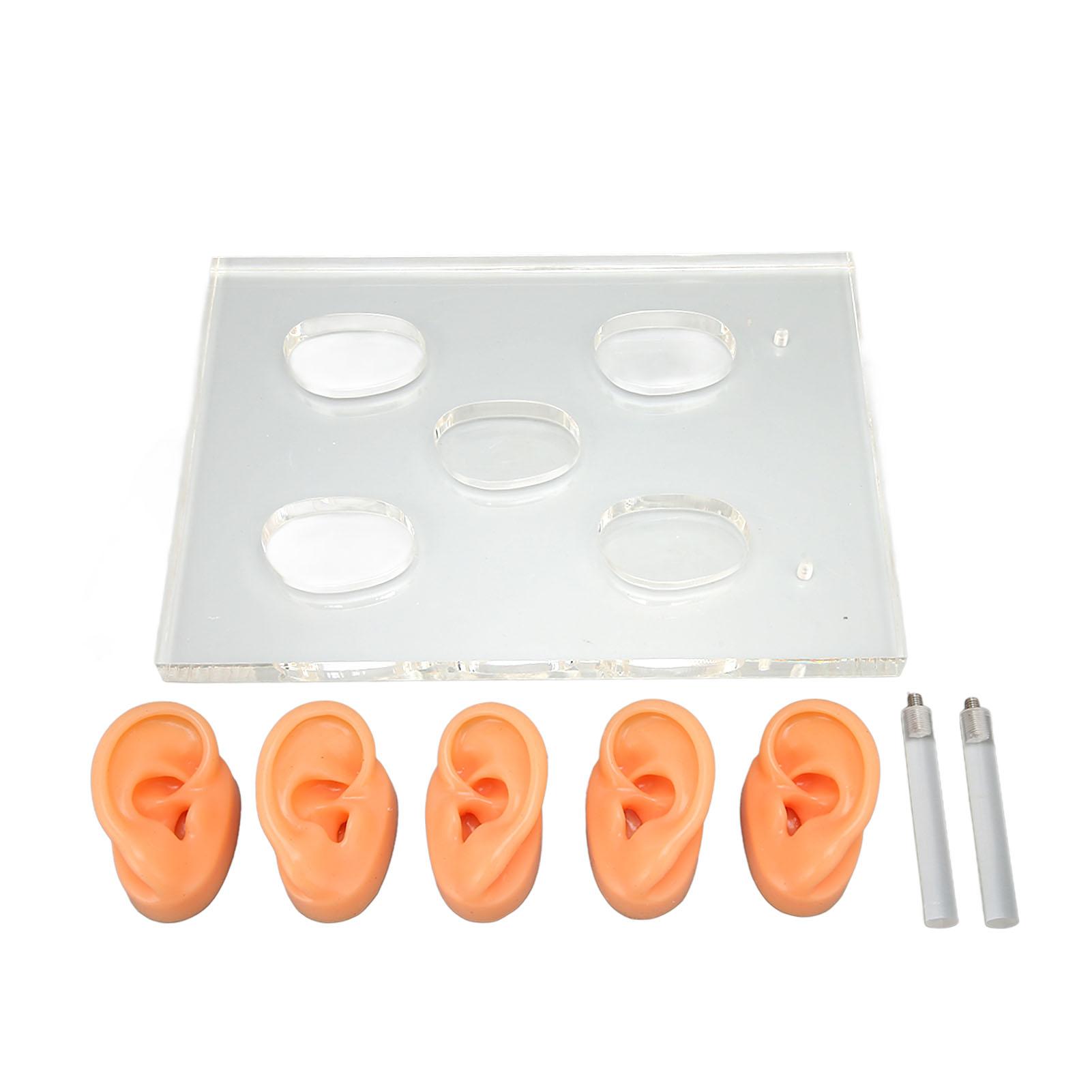 5Pcs Silicone Ear Model Clear Details Waterproof Ear Model Acrylic Display Board with 2 Support
5Pcs Silicone Ear Model Clear Details Waterproof Ear Model Acrylic Display Board with 2 Support