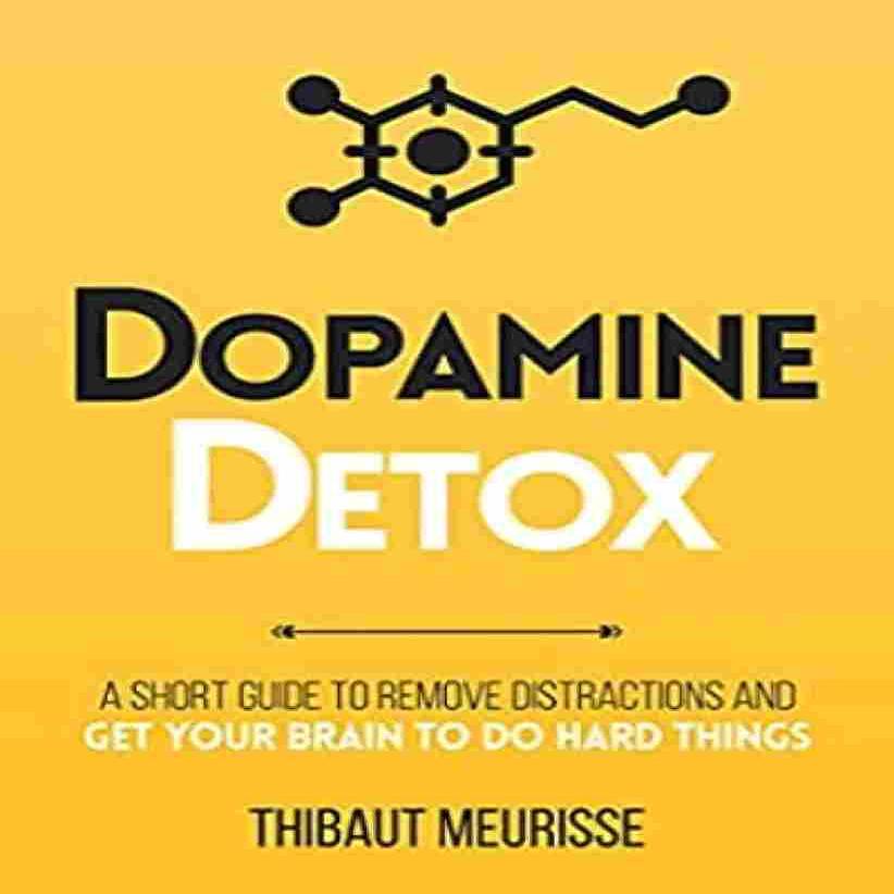 Dopamine Detox (Paperback) - Thibaut Meurisse 
Dopamine Detox (Paperback) - Thibaut Meurisse