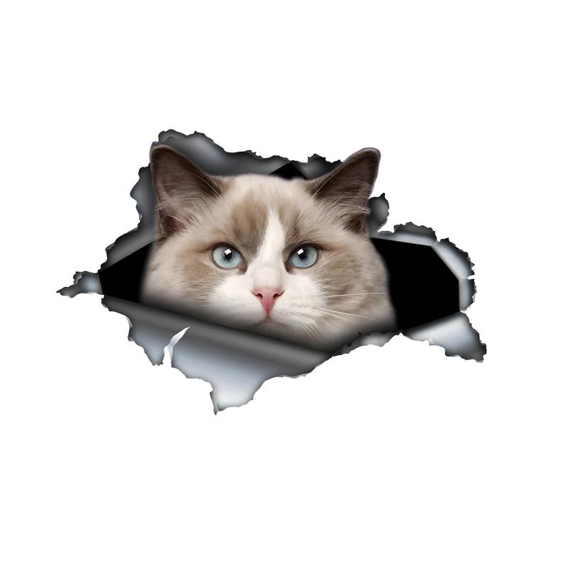 Pretty Muppet Cat Car Bumper Window Stickers For Car Truck Van Fashion Decals Vinyl Material Stickers 15cm-Longest Side
Pretty Muppet Cat Car Bumper Window Stickers For Car Truck Van Fashion Decals Vinyl Material Stickers 15cm-Longest Side