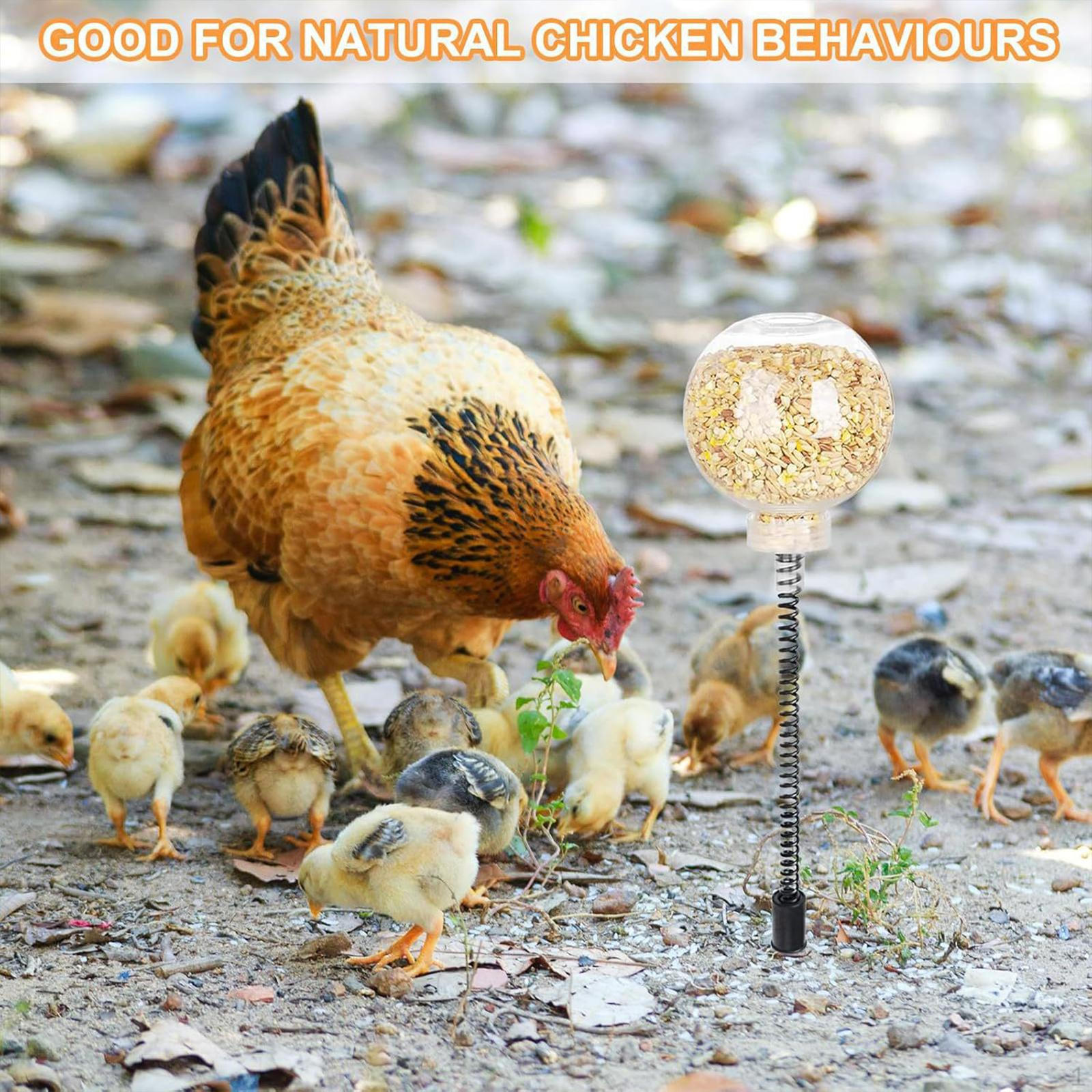 Chicken Peck Toy Interactive Slow Feeder Practical 40cm Tall, feed Release Toy, Feeding
Chicken Peck Toy Interactive Slow Feeder Practical 40cm Tall, feed Release Toy, Feeding