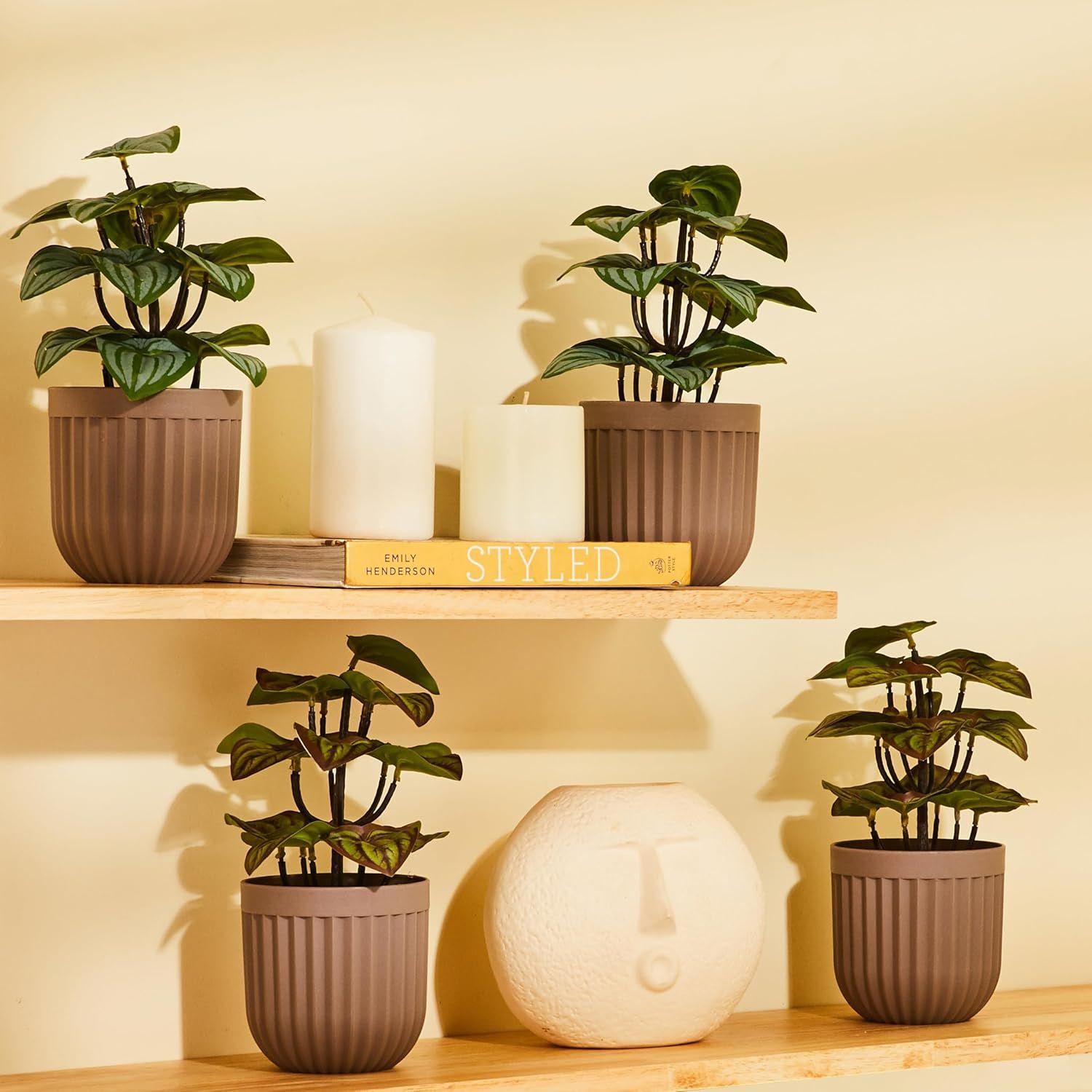 Artificial Plants with Pot| Realistic Appearance | Durable Plastic | Versatile Use | No Maintenance | Home Decor | 10 cm X 24 cm (Pack of 4)
Artificial Plants with Pot| Realistic Appearance | Durable Plastic | Versatile Use | No Maintenance | Home Decor | 10 cm X 24 cm (Pack of 4)