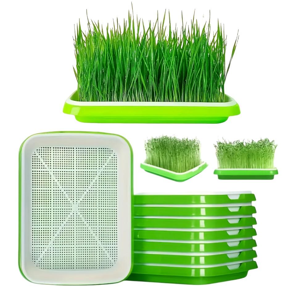 4Pcs (2 Sets) Quick Harvest Seed Germination Tray, Waterless Sprouting Kit with Drainage Holes for Peas, Beans, Wheat, Pet Herbs
4Pcs (2 Sets) Quick Harvest Seed Germination Tray, Waterless Sprouting Kit with Drainage Holes for Peas, Beans, Wheat, Pet Herbs