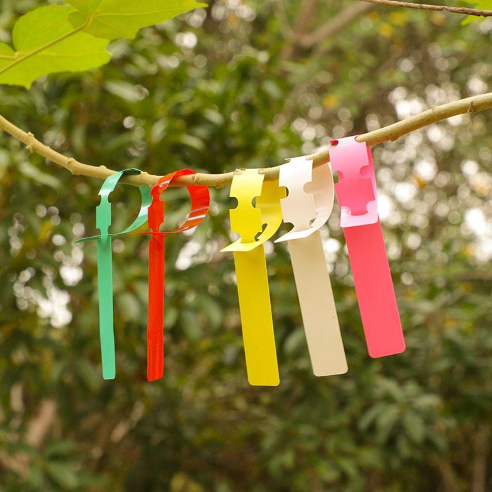 200pcs Waterproof Garden Flower Label PVC Plant Markers Plants Prompt Card Horticultural синий
200pcs Waterproof Garden Flower Label PVC Plant Markers Plants Prompt Card Horticultural синий