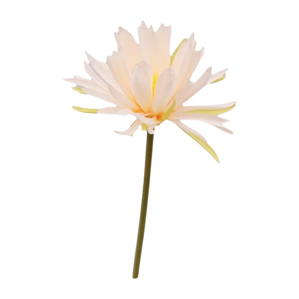 Table Decor Artificial Lifelike Flowers Single Head DIY Bouquet Gifts Simulation Fake Flower Silk Flowers Bouquet бежевий
Table Decor Artificial Lifelike Flowers Single Head DIY Bouquet Gifts Simulation Fake Flower Silk Flowers Bouquet бежевий