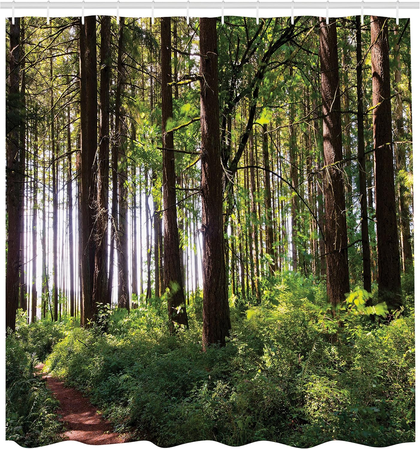 Forest Shower Curtain, Pathway In A Shady Forest Of Bushes And Thick Trunks Grass Unique Wild Life Scenery, Cloth Fabr W60H190(CM)-1 Pcs
Forest Shower Curtain, Pathway In A Shady Forest Of Bushes And Thick Trunks Grass Unique Wild Life Scenery, Cloth Fabr W60H190(CM)-1 Pcs