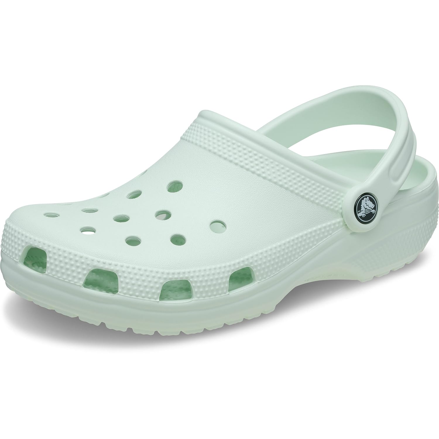 Crocs Classic Clog, 26 cm, Unisex, Mint Tint
Crocs Classic Clog, 26 cm, Unisex, Mint Tint