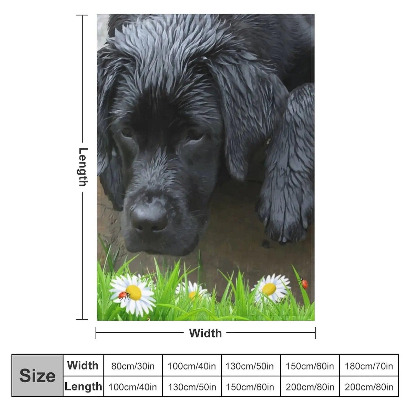 Новинка «Цените мелочи» — одеяло «Черная лаборатория и божья коровка», постельное белье в стиле аниме 76x102cm(30x40in)
Новинка «Цените мелочи» — одеяло «Черная лаборатория и божья коровка», постельное белье в стиле аниме 76x102cm(30x40in)