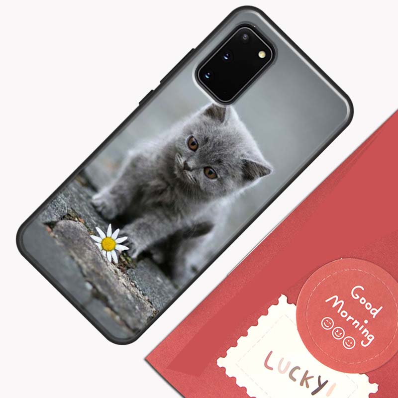 Beautiful Grey British Shorthair Cat Phone Case For Samsung Galaxy S26 S25 Ultra S20 S21 S22 S23 S24 S10 Plus S25 FE Cover Shell Galaxy S23Ultra
Beautiful Grey British Shorthair Cat Phone Case For Samsung Galaxy S26 S25 Ultra S20 S21 S22 S23 S24 S10 Plus S25 FE Cover Shell Galaxy S23Ultra