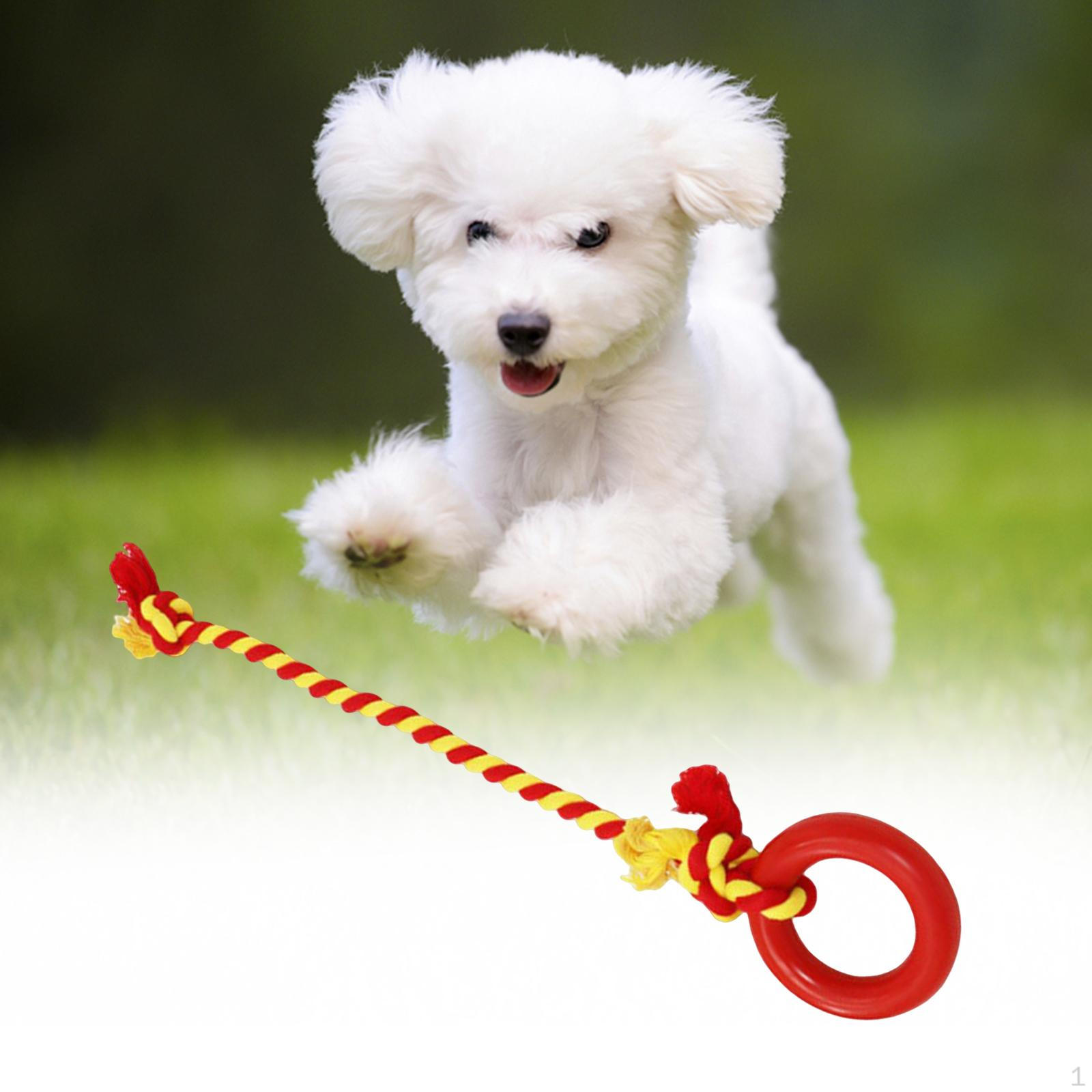 Playing Running Exercise Dog Rope Toys Interactive Toy Pulling Puppy Cleaning червоний
Playing Running Exercise Dog Rope Toys Interactive Toy Pulling Puppy Cleaning червоний