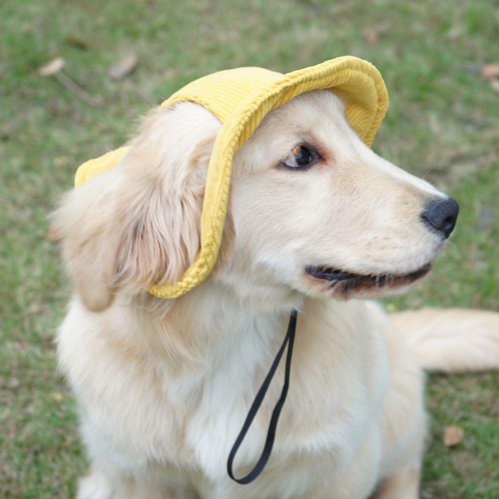 Adjustable Dog Fisherman Hat Soft Dog Baseball Cap Dog Sunhats Cap Dogs Bucket Hat Hiking
Adjustable Dog Fisherman Hat Soft Dog Baseball Cap Dog Sunhats Cap Dogs Bucket Hat Hiking