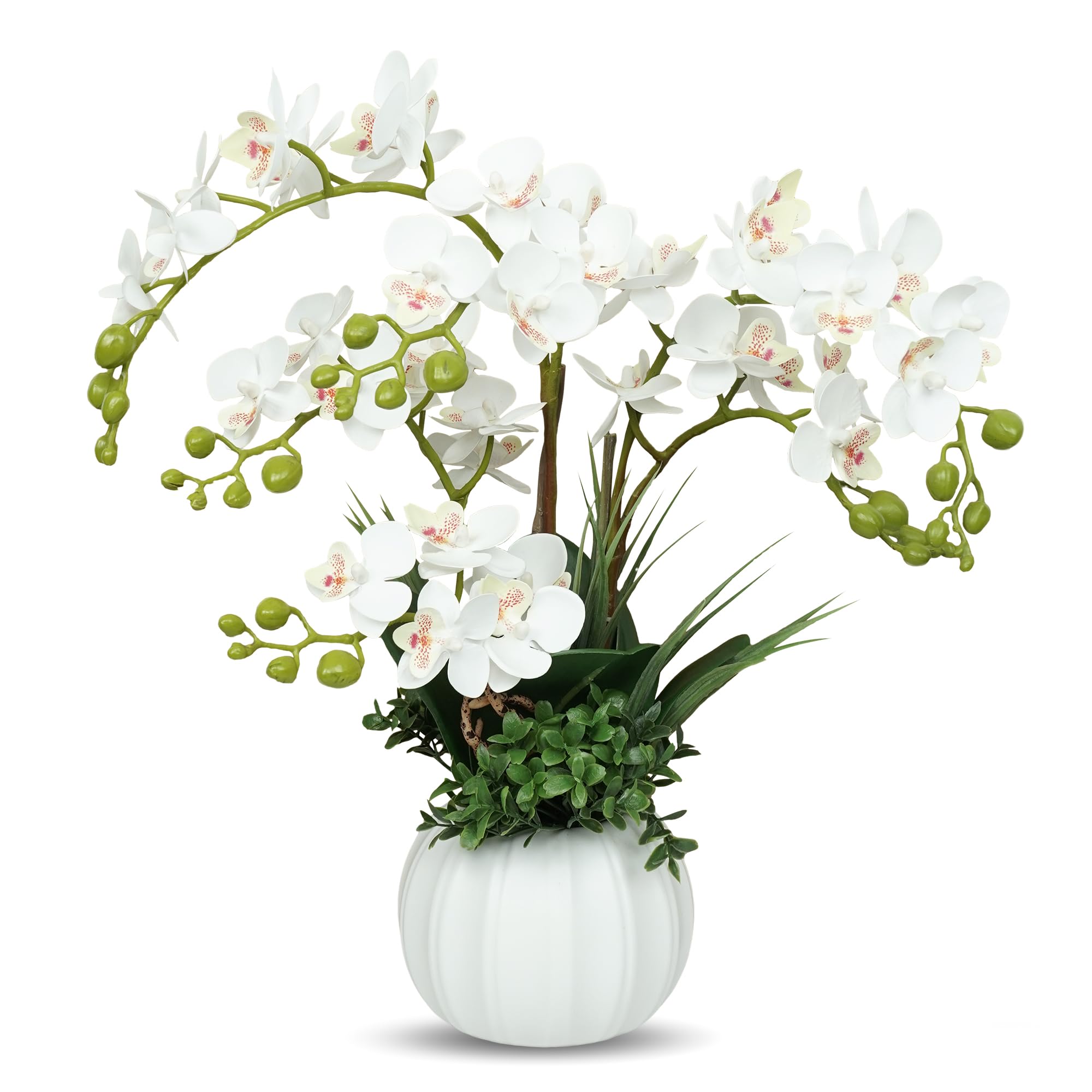 Artificial Orchid Flowers with Pot, Fake Orchid Plants for Home Decoration, Faux Flowers that Look Real for Living Room Bedroom Kitchen Table Indoor белый
Artificial Orchid Flowers with Pot, Fake Orchid Plants for Home Decoration, Faux Flowers that Look Real for Living Room Bedroom Kitchen Table Indoor белый