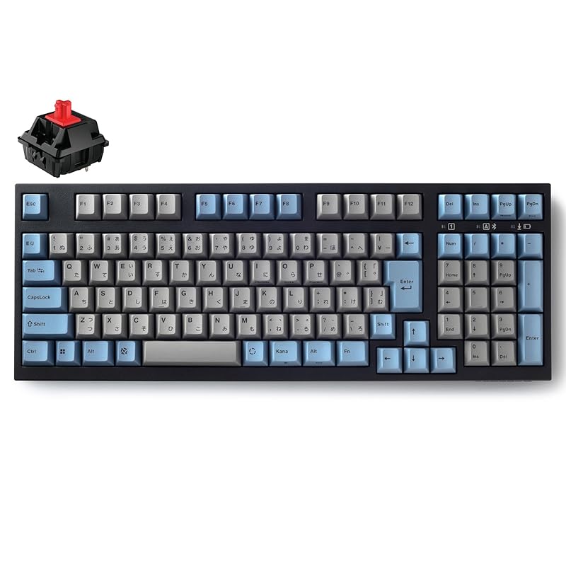 LEOPOLD FC980MBT GRAYBLUE Bluetooth/USB-C Japanese JIS layout Kanaya 102 keys Space-saving keyboard with numeric keypad Switch hot-swappable
LEOPOLD FC980MBT GRAYBLUE Bluetooth/USB-C Japanese JIS layout Kanaya 102 keys Space-saving keyboard with numeric keypad Switch hot-swappable