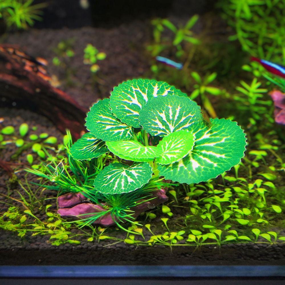 Decorative Artificial Water Grass Simulation Sunken Wood Aquatic Plants Ornaments Fish Tank Style C
Decorative Artificial Water Grass Simulation Sunken Wood Aquatic Plants Ornaments Fish Tank Style C