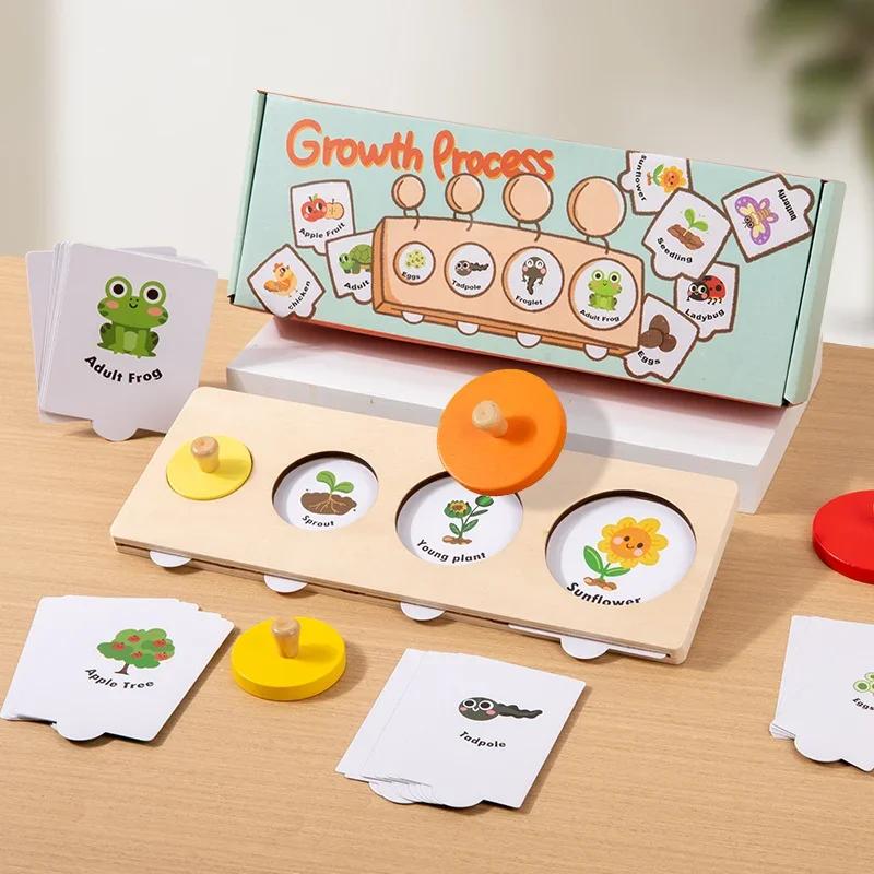 Montessori Learning Educational Children Toys Playsets Wooden Sorting Matching Board Growth Process Cognize Preschool Learning Puzzle Game for Kids
Montessori Learning Educational Children Toys Playsets Wooden Sorting Matching Board Growth Process Cognize Preschool Learning Puzzle Game for Kids