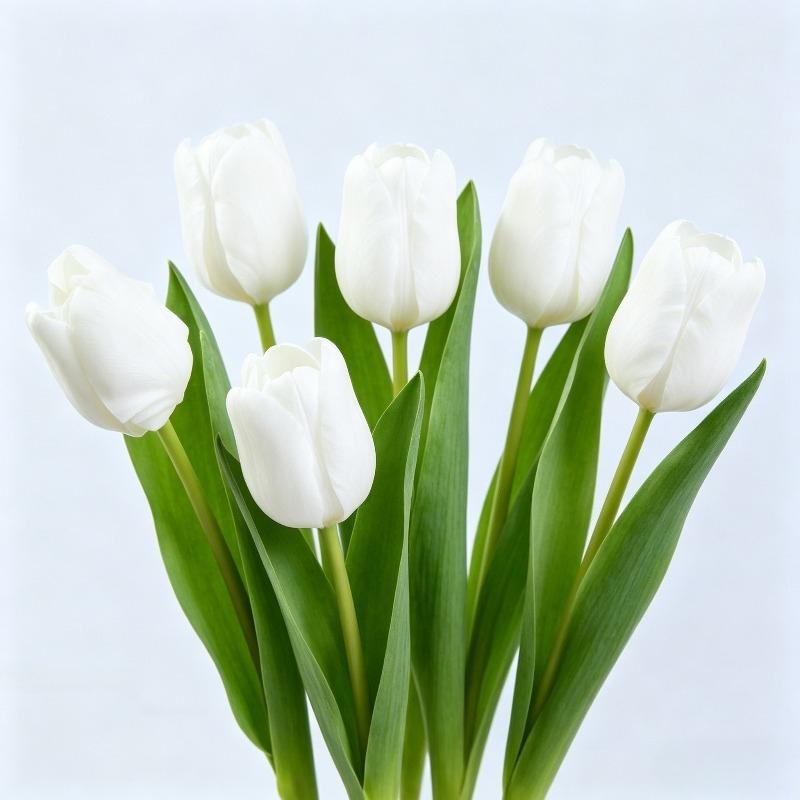 6pcs High-End Artificial Tulips Moisture-Proof Realistic Flowers Home Decor Photography Props Touch-Sensitive Fake Tulips
6pcs High-End Artificial Tulips Moisture-Proof Realistic Flowers Home Decor Photography Props Touch-Sensitive Fake Tulips
