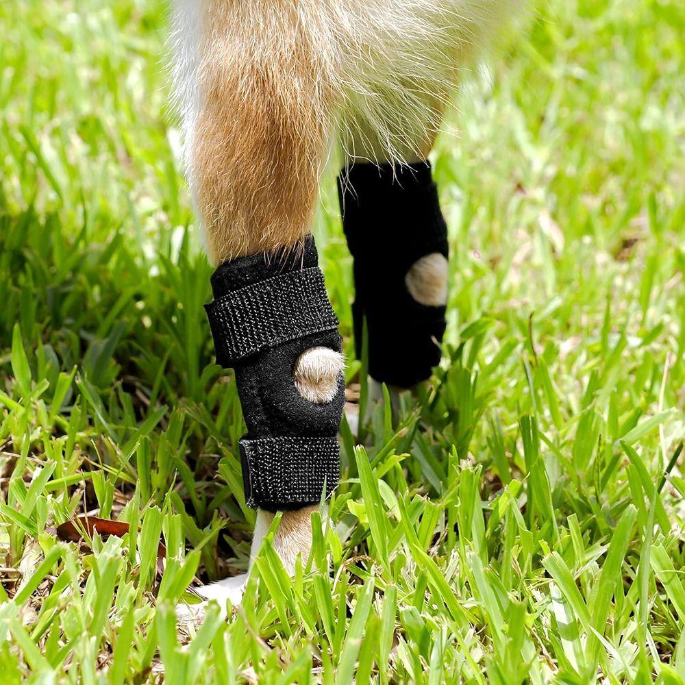 1 Pair Protects Dogs Hock Joint Brace M/L/XL Pet Elbow Knee Pad Dog Leg Support Guard Animals L
1 Pair Protects Dogs Hock Joint Brace M/L/XL Pet Elbow Knee Pad Dog Leg Support Guard Animals L