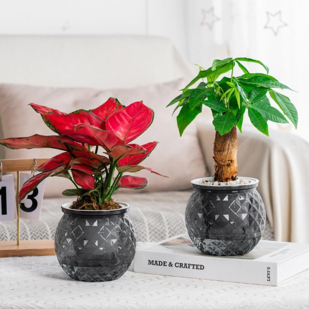 Removable Flowerpot Plastic Mini Succulent Planter Tabletop Vase New Office Bonsai Decor сірий колір
Removable Flowerpot Plastic Mini Succulent Planter Tabletop Vase New Office Bonsai Decor сірий колір