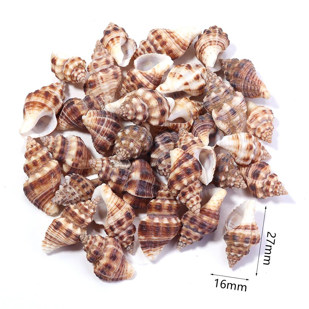 40g/bag Sea Shell Beads Tiny Conch Beads Undrilled Natural Shell Beads For Jewelry Making DIY Crafts Ornament Home Decoration
40g/bag Sea Shell Beads Tiny Conch Beads Undrilled Natural Shell Beads For Jewelry Making DIY Crafts Ornament Home Decoration