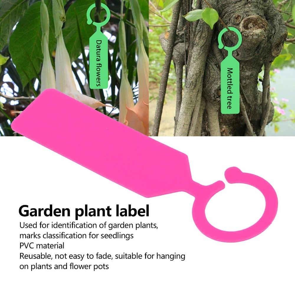 200Pcs Reusable Plant Tree Label Plant Tree Marker Potted Plants, Flowers, and Young Trees Labeling розовый
200Pcs Reusable Plant Tree Label Plant Tree Marker Potted Plants, Flowers, and Young Trees Labeling розовый