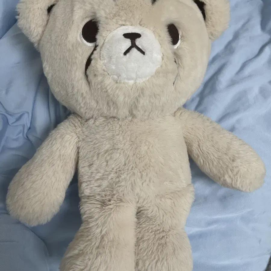 Nct Марк Читтари
Nct Марк Читтари