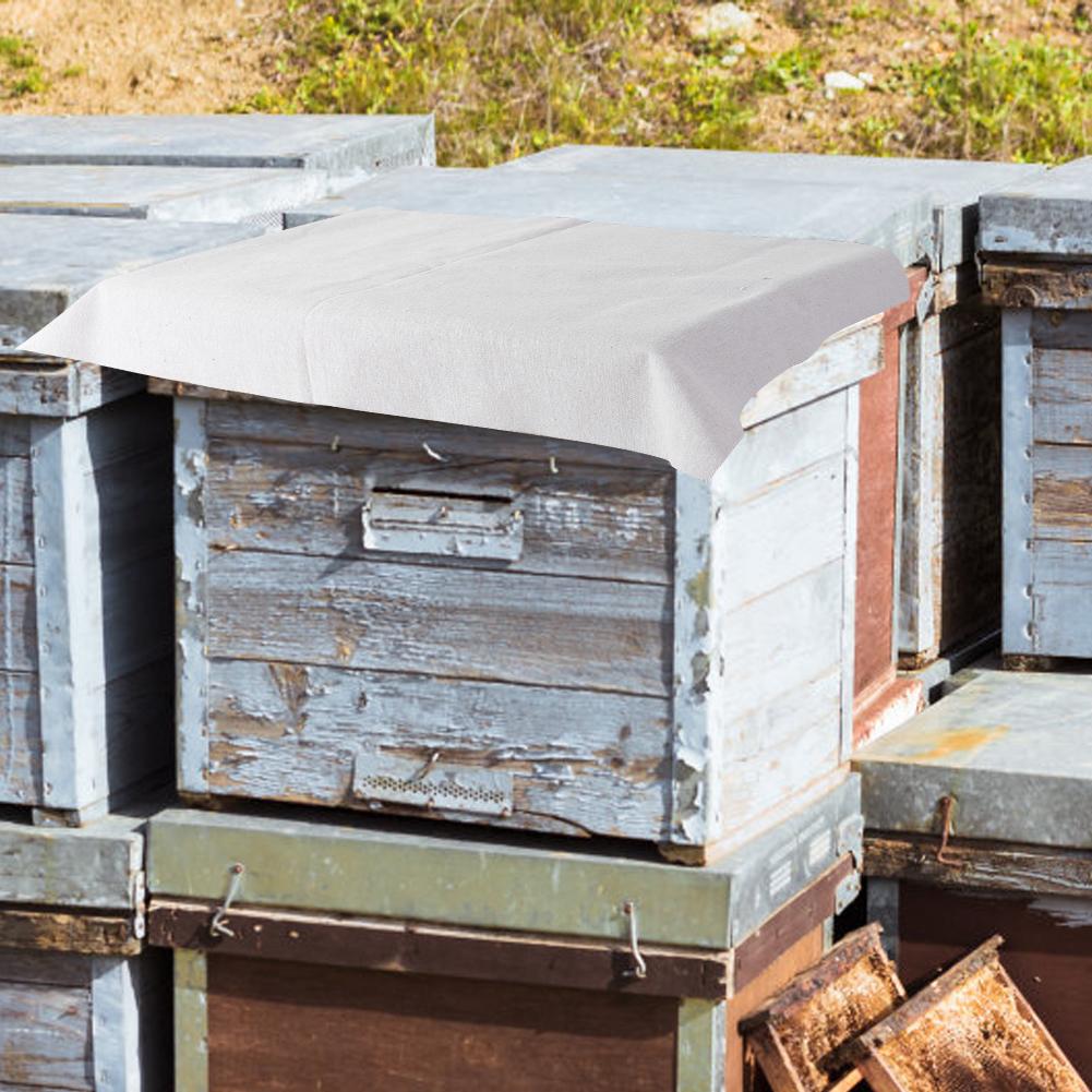 10Pcs Cotton Beehive Cover Beehive Insulation Covering Cloth Beekeeper Beekeeping Equipment Tool
10Pcs Cotton Beehive Cover Beehive Insulation Covering Cloth Beekeeper Beekeeping Equipment Tool