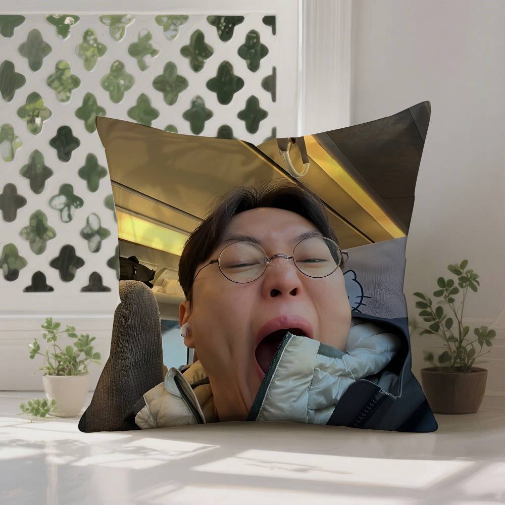 RRoh JJae Won Pillow Case Antidustmite Pillowcase Invisible Zipper Silky Short Plush Sofa Cushion Cover 30X30cm
RRoh JJae Won Pillow Case Antidustmite Pillowcase Invisible Zipper Silky Short Plush Sofa Cushion Cover 30X30cm