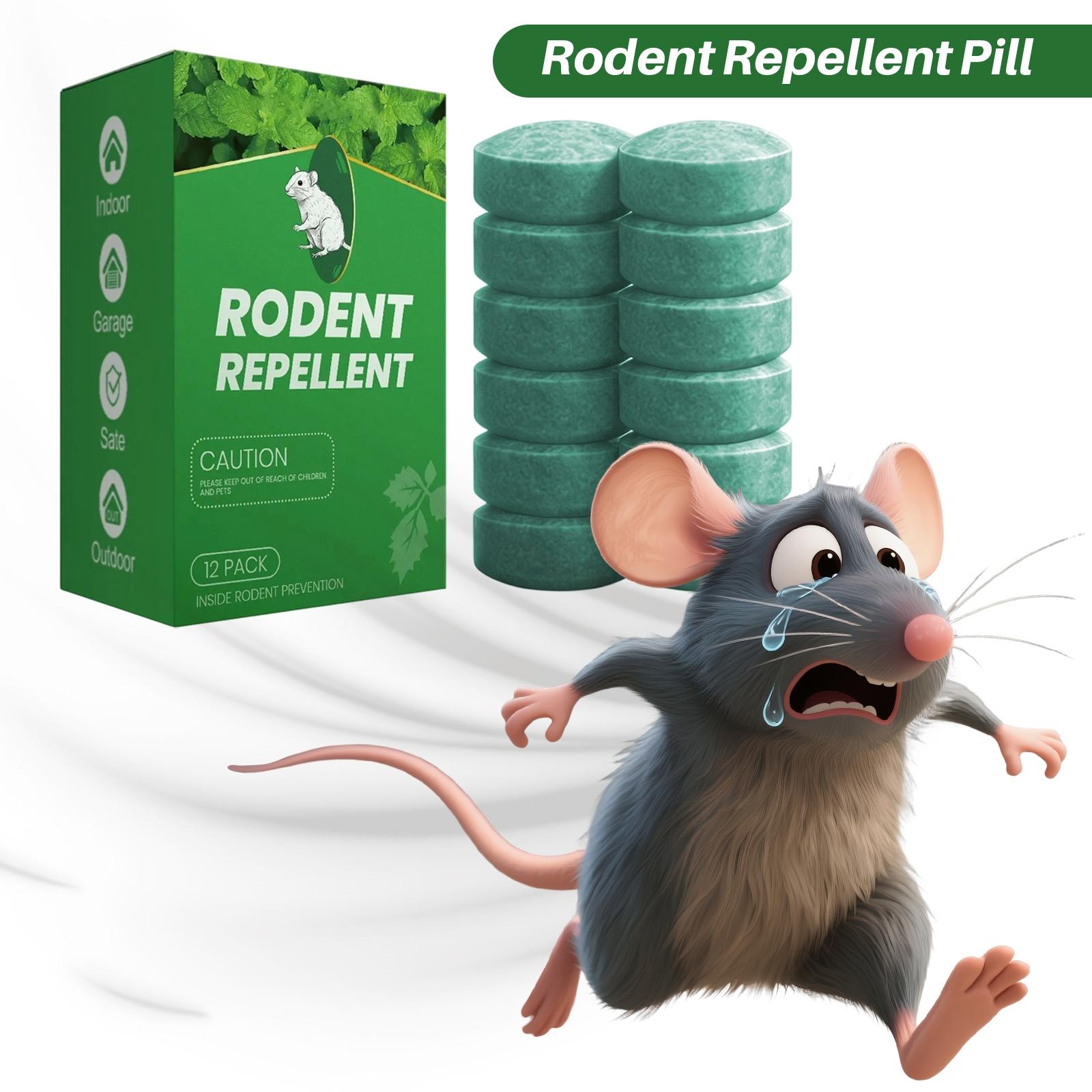 Qutixuan Daily Indoor And Outdoor Rodent Prevention Furniture That Resists Gnawing. Gentle And Natural Scent, Convenient To Use. One Size зелений
Qutixuan Daily Indoor And Outdoor Rodent Prevention Furniture That Resists Gnawing. Gentle And Natural Scent, Convenient To Use. One Size зелений