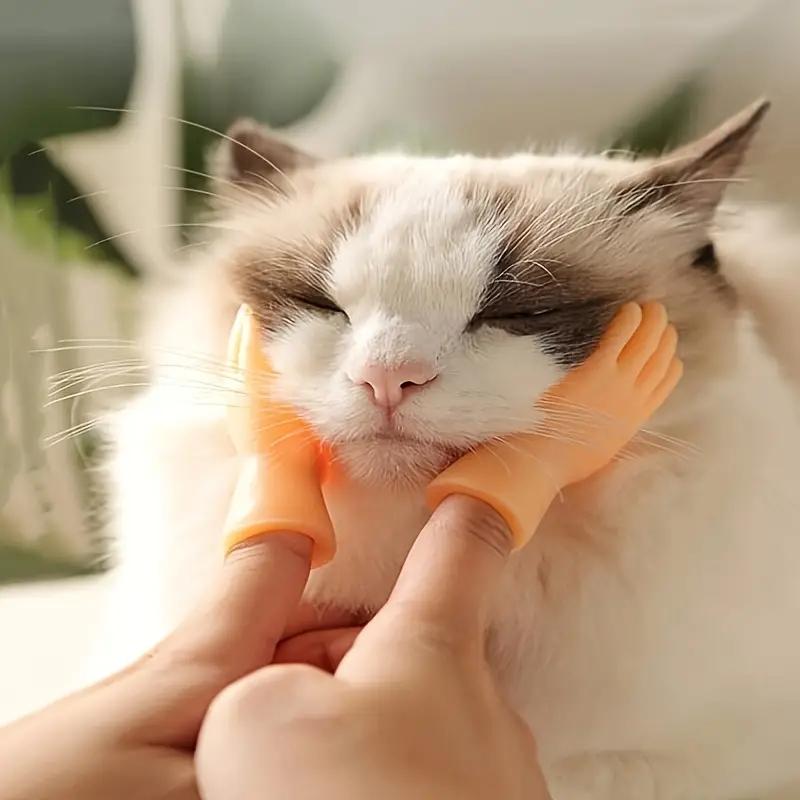 Игрушки для кошек, массажные перчатки с мизинцем, набор для кошек, забавный набор для пальцев, креативные игрушки для пальцев, товары для домашних животных
Игрушки для кошек, массажные перчатки с мизинцем, набор для кошек, забавный набор для пальцев, креативные игрушки для пальцев, товары для домашних животных